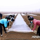 신암1농장 뉴스1