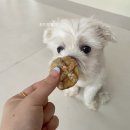 멍스하우스 이미지