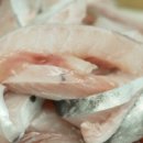고흥식당 네이버블로그