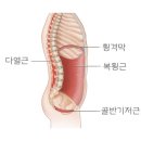 필라테스제이앤제이