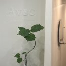 [공지] 순천 아베끄 필라테스 체험레슨 내돈내산 후기