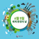 제로웨이스트를 위한 에리제론 올인원 단호박 뷰티볼 구입후기(feat.세계 환경의 날)