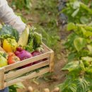 가실골농장 이미지