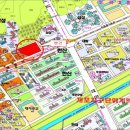 강남-164 이미지