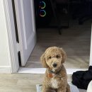 트레밍MM 이미지