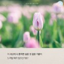 에스엠에이아이 | SMA와 비슷한 희귀질환들
