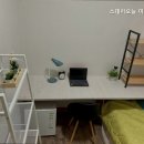 스테이오늘 이미지