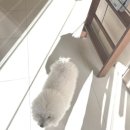 홍대미용실 앤오프 홍대점 시원실장님 탄산스파 레이어드컷 추천 후기