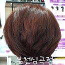 큐사랑부천상동
