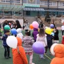 기린초교병설유치원 이미지