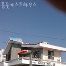 제주게스트하우스봄꽃 이미지