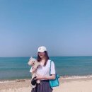 기다림 이미지