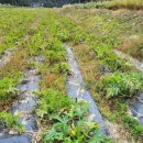 문바우마을 이미지