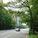 효원약국 이미지