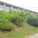 동강중학교 이미지