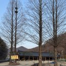 초리골 제빵소 이미지