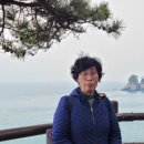 뉴여차펜션 이미지