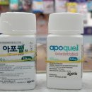 신세계약국 이미지