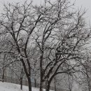 용답역(2) 이미지