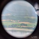 진메디팜 | 파주 당일치기 여행코스 추천 | 통일전망대·프로방스마을·메디테리움 의학박물관·맛집 등