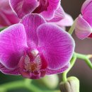 창보빌딩 이미지