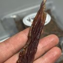 몽몽야옹 이미지