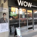 와우(wow)왁싱 이미지