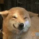 토함산 락 펜션 이미지