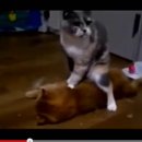 시원안마시술소 이미지