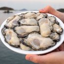 석화