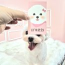 내개로와 이미지