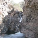 선주동태탕 이미지