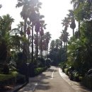 일출랜드식물원 이미지