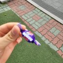 후룹파스타 이미지