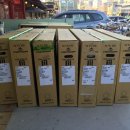 광성자전거 이미지