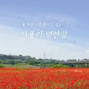 영산강둔치체육공원 이미지