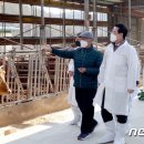 친환경한우농장 이미지