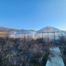 곤지암읍-13 이미지