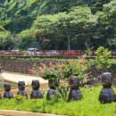 장령산자연휴양림 이미지