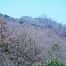 비봉산 정상부 이미지