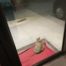 호텔레츠 이미지