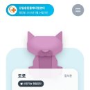 울산 강일웅고양이메디컬센터 이미지