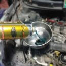 카데렐라 이미지