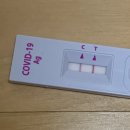 우면365의원 | 코로나 확진 후기 | 일요일에도 신속항원검사 하는 병원