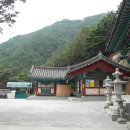 삼성암밑 티스토리