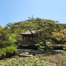 세연정 이미지