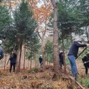 구재봉자연휴양림 이미지