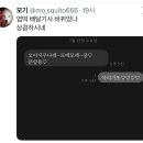 모에모에 쿵 이미지