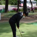 파크골프채 추천 데이비드 DP300 vs DP500 실제 사용 비교 후기