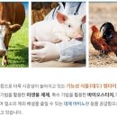 진바이오텍 이미지